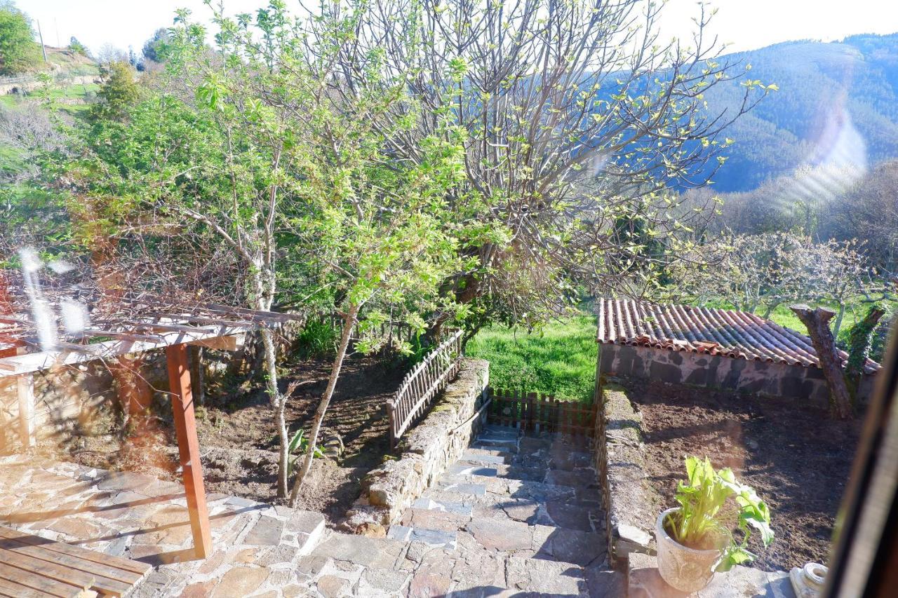 הוילה Retiro De Gondramaz - 200 M2 מראה חיצוני תמונה